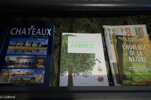 Maisons de vacances Caberce Thoire : photos des chambres