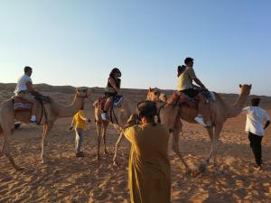Desert Life Oman Bedouin Camp