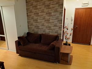 Уютен апартамент за зимна почивка в Пампорово