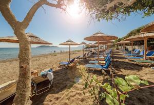 Tortuga Dafni Bay Villas on the beach Zakynthos Greece