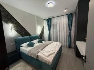 EVO Apartament de Lux André - 谢林伯尔