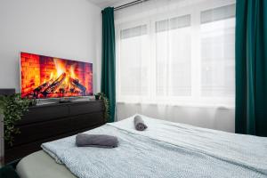 New Tranquil Apartments with FREE PARKING