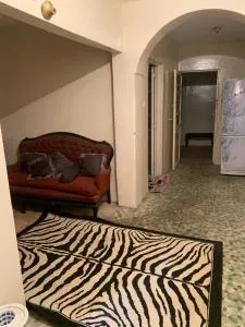 Egypt- شقة سكن - المنصورة - Ṭalkha