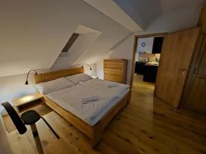 Benecko moderní apartmán A30 by AlkaTravel - 伊莱姆尼采