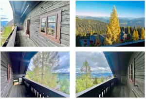 Almrausch und Enzian