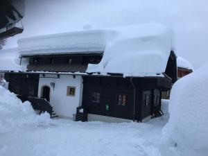 Almrausch und Enzian