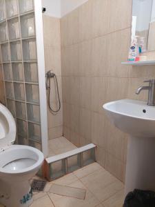 Pensiunea Nicol Tulcea