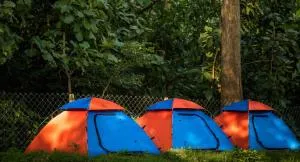 Dandeli Resorts And Spa - Dandeli