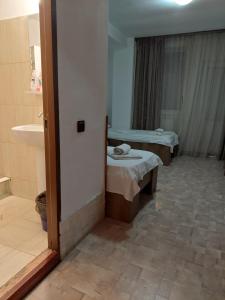 Pensiunea Nicol Tulcea