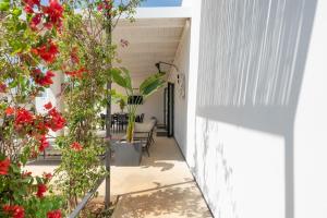 Tenuta Buganvillea -Private pool