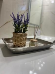 Tomin sokak Apartment