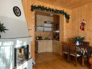 Омріяні Карпати - 奥尔亚维奇克