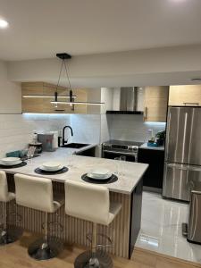 Luxurious modern basement apartment