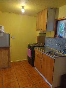 Cabaña Hornopiren 1