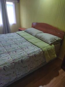 Cabaña Hornopiren 1