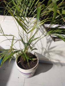 Shree Ganpati Bhakt Niwas Open Hall - No Cots, Bed, Mattress