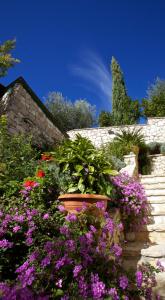 Villa More 3 Apartments A-10, A-11 and A-12 , 4-4-6 Beds
