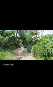 Rest Studio Apartment