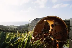 Barrique Studio with Sauna at Barrelled Wines Raglan - 拉格伦