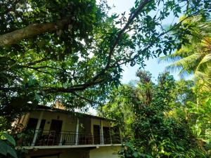 Jungle Resort Home Stay