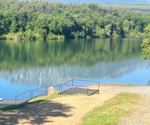 VISTA AL LAGO cabaña rustica