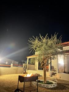 Casitas Punta Arenas #3