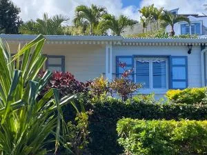 Gîte Créoline 4* avec piscine, clim et parking proche plage - FR-1-786-32 - 珀蒂蒂勒