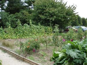 Maisons de vacances Gite calme pres de Meung-sur-Loire avec jardin et terrasse - FR-1-590-537 : photos des chambres