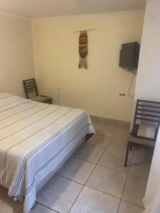 Hostal CacTus