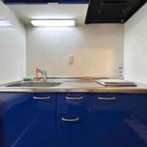 Arcadia EF 206 アルカディアEF 206