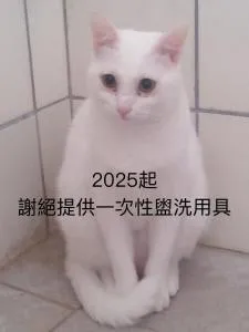 自然海naturalhigh - Wu-ya-nao-she