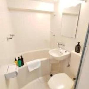 Arcadia EF 407 アルカディアEF 407