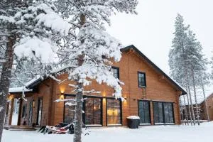 New 3-Bedroom Skiing Cabin - Levi - 基蒂莱