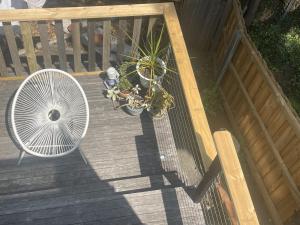 Violet Cottage in the City