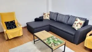 Andi Apartment - Turnişor