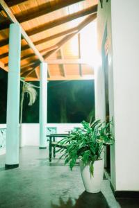 Beach Lagoon Guesthouse