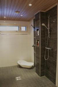 Arctic Fox Rovaniemi