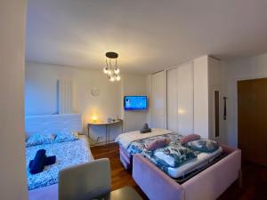 Appartement Passy PARIS