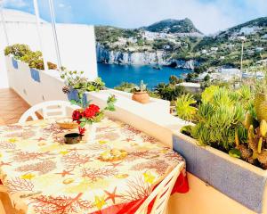 Ponzamania Da Cecilia