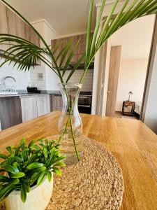 Amplio depto 2D2B con hermosa vista en Los Andes