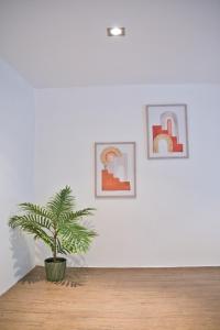 Le Coquebert - Studio