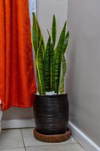 Stylish Studio with Rooftop Pool in Nairobi-JoJo Homes