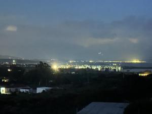 fiori di cactus img2