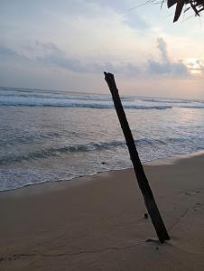 Rangana Beach Rest