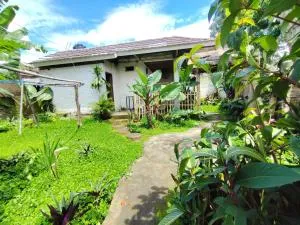 Gubuk Baru Homestay - Selong