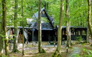 Forest Escape with Jacuzzi & Pool Among the Trees by Destination GREEN Croatia