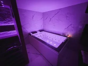 Suite KING Size SAUNA JACUZZI - Le Mesnil-Simon