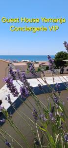 Maisons de vacances Villa Rooftop vue Mer : photos des chambres