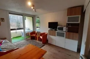 Joli studio aux Carroz d'Arâches - Magland