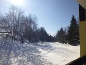 Appartements Joli studio aux Carroz d-Araches : photos des chambres